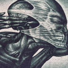 Load image into Gallery viewer, Vintage Tool 2000s Lateralus Long Sleeve