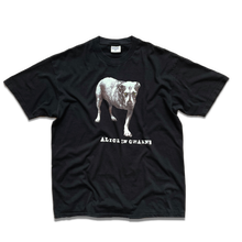 Load image into Gallery viewer, Alice In Chains 1994 Self Titled T-Shirt π