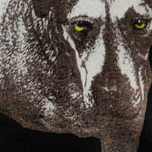 Load image into Gallery viewer, Alice In Chains 1994 Self Titled T-Shirt π