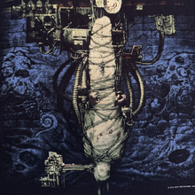 Load image into Gallery viewer, Vintage Sepultura 1993 Chaos AD T Shirt