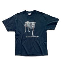 Load image into Gallery viewer, Alice In Chains 1994 Self Titled T-Shirt π