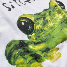 Load image into Gallery viewer, Vintage Silverchair Frogstomp 1995 T-Shirt