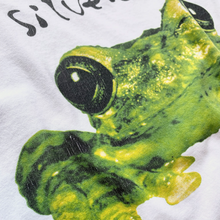 Load image into Gallery viewer, Vintage Silverchair Frogstomp 1995 T-Shirt
