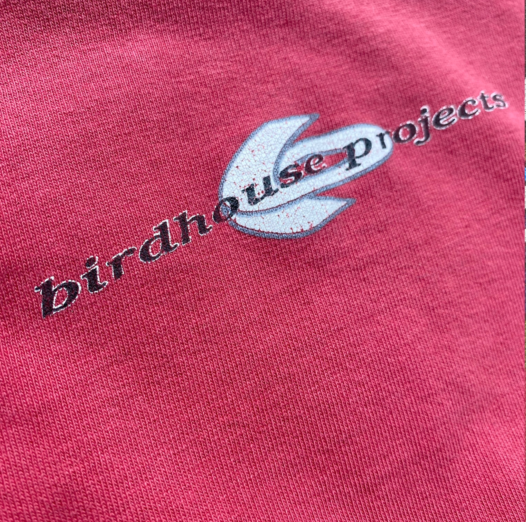 HELMET tシャツ BIRDHOUSE PROJECTs 90s Vintage 90s Helmet 1993 “ Anime Theme Birdhouse Project